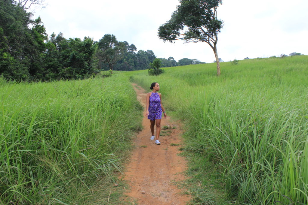 Visiting Khao Yai National Park, Thailand